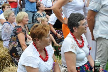 Dobra zabawa na dożynkach gminy Wieluń